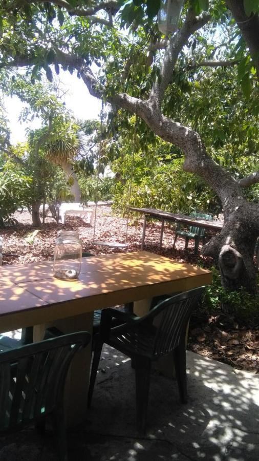 蒂哈拉费Casa Los Mangos别墅 外观 照片