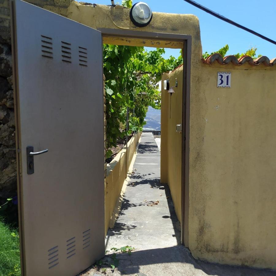 蒂哈拉费Casa Los Mangos别墅 外观 照片